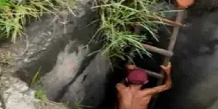 Idoso estava desaparecido há 8 dias, após sair para passear