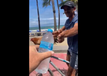 Gilson Machado oferece água a galinha e faz promessa inusitada na Orla de Boa Viagem