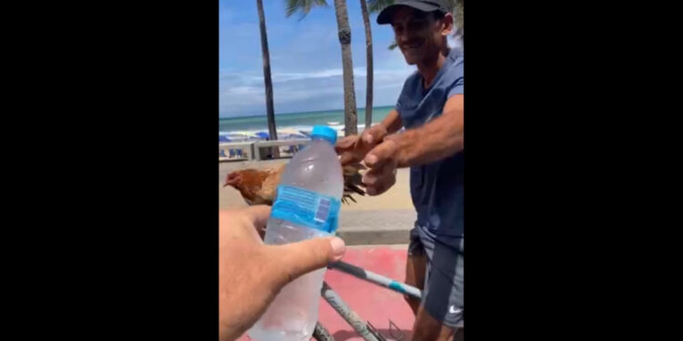Gilson Machado oferece água a galinha e faz promessa inusitada na Orla de Boa Viagem