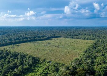 Dados atualizados pelo Inpe mostram que 322 km² estiveram sob alertas de devastação no último mês; valor é o maior desde 2015.
