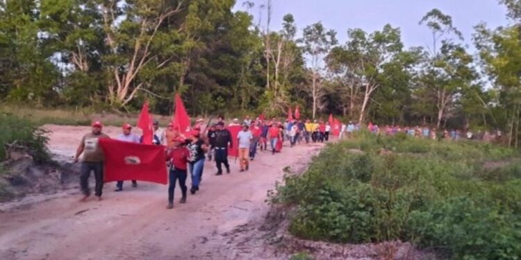 Integrantes do MST invadem fazendas da Suzano na Bahia
