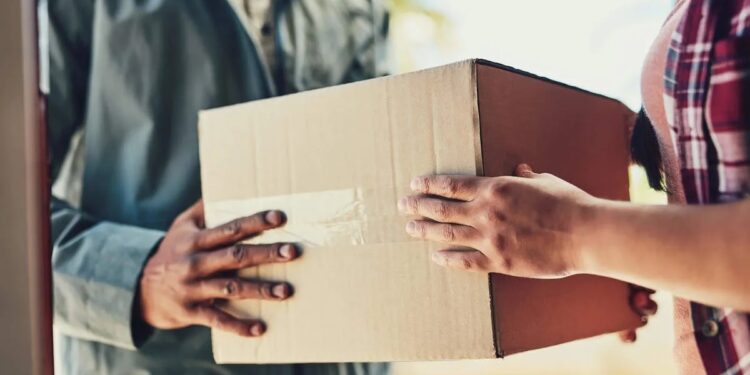 Defesa diz ao TCU que Bolsonaro entregará estojo de joias, diz TV