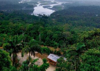 PF deflagra operação contra suspeitos de exploração sexual na Terra Yanomami
