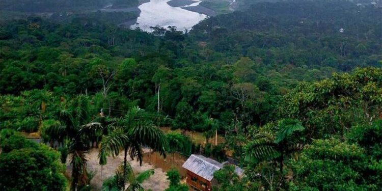 PF deflagra operação contra suspeitos de exploração sexual na Terra Yanomami