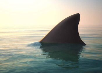 Região do Grande Recife registrou três casos em duas semanas; desses, dois adolescentes tiveram membros amputados