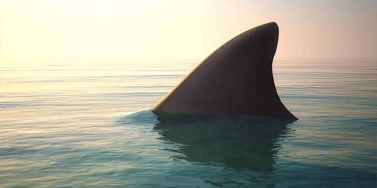 Região do Grande Recife registrou três casos em duas semanas; desses, dois adolescentes tiveram membros amputados