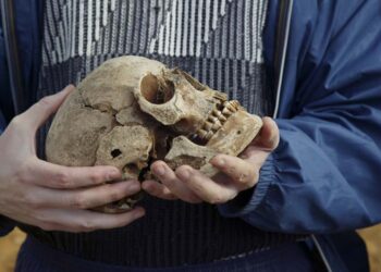 Segundo autoridades, o crânio e braços foram localizados separados do resto do corpo