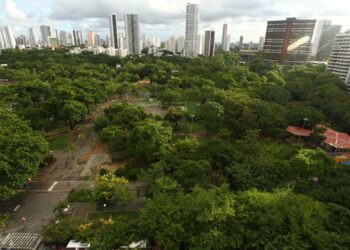 Parque da Jaqueira, no Recife