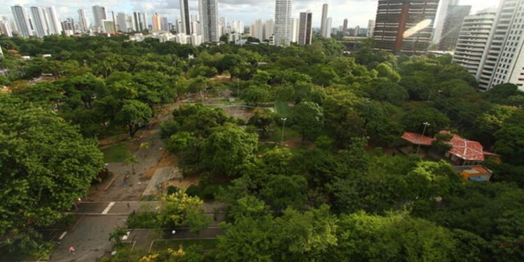 Parque da Jaqueira, no Recife