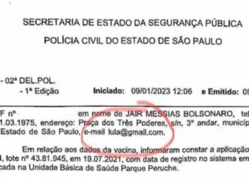 Ficha da imunização mostra o e-mail de contato “Lula@gmail.com"