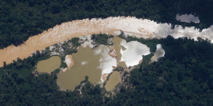 Rio contaminado pelo garimpo ilegal na região do Surucucu