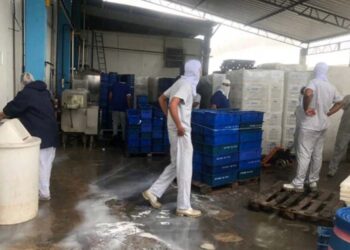 Operação Desnatura, da PF, CGU e Receita, apura irregularidades no fornecimento de leite com recursos federais