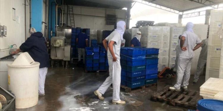 Operação Desnatura, da PF, CGU e Receita, apura irregularidades no fornecimento de leite com recursos federais