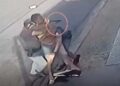 Câmera flagra ladrão desarmando policial