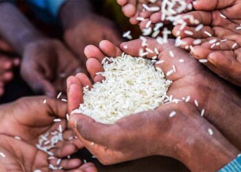 2,4 bilhões de pessoas não têm acesso constante a alimentos, revela relatório da ONU.