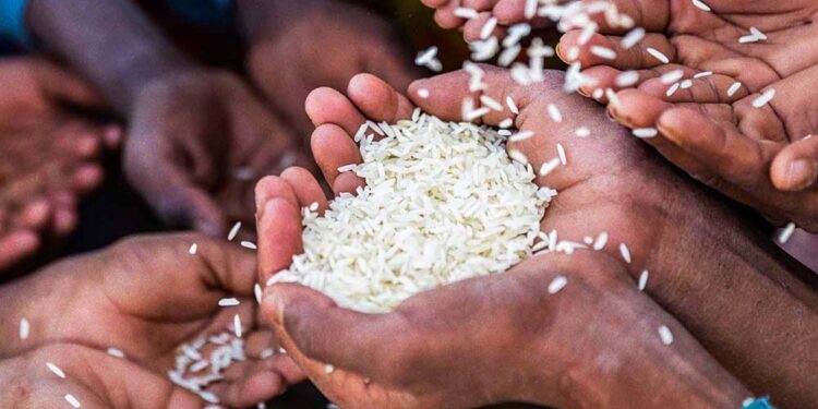 2,4 bilhões de pessoas não têm acesso constante a alimentos, revela relatório da ONU.