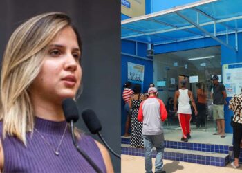 Andreza Romero é secretária-executiva dos Direitos dos Animais do Recife, responsável pelo hospital veterinário