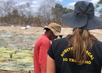 Auditores fiscais do trabalho durante operação de fiscalização de condições de trabalho.