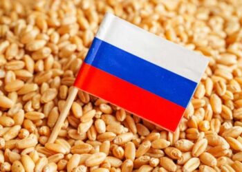 A ONU rechaça tais argumentos e assegura que o acordo atendeu a ambas as partes e reduziu globalmente os preços dos alimentos em mais de 20%.