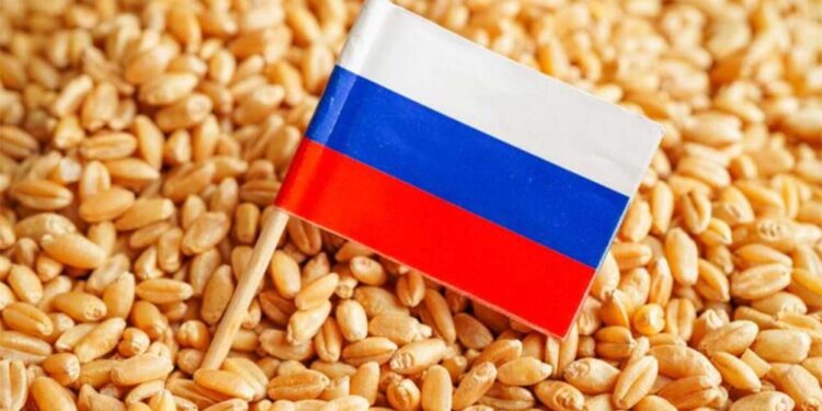 A ONU rechaça tais argumentos e assegura que o acordo atendeu a ambas as partes e reduziu globalmente os preços dos alimentos em mais de 20%.