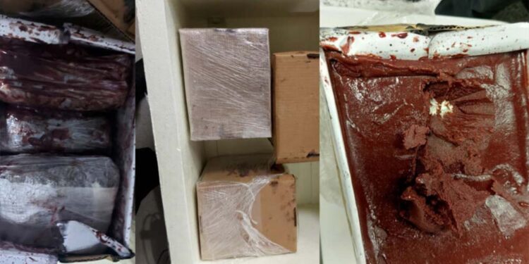 Passageira embarcou em Manaus com uma criança de colo e levava a droga em bagagem despachada