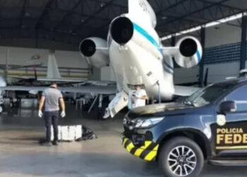 Aeronave que estaria levando 290 kg de skunk para PE