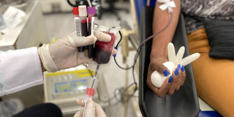 Instituição é responsável por 80% da demanda transfusional do Estado.