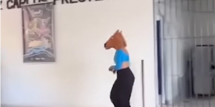 Diretores de escolas são afastados após apresentação do grupo musical Suave em unidades municipais.