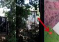 Imagens foram encaminhadas por moradores
