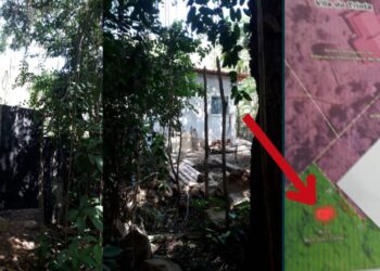 Imagens foram encaminhadas por moradores