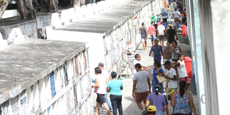 Uma busca ao tesouro aconteceu no cemitério de Santo Amaro