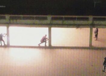 Bandidos usam até simulação com bombas em treinamento