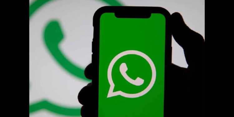 O recurso vai ser liberado aos poucos para os usuários do aplicativo