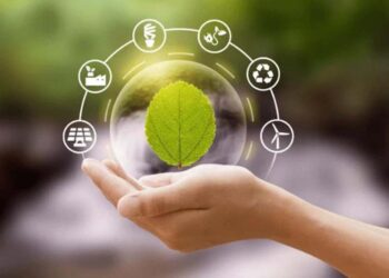 Sustentabilidade é a capacidade de uso consciente dos recursos naturais sem comprometer o bem-estar das gerações futuras