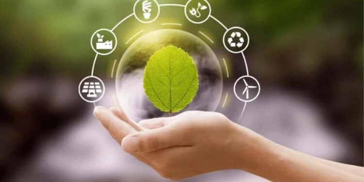 Sustentabilidade é a capacidade de uso consciente dos recursos naturais sem comprometer o bem-estar das gerações futuras