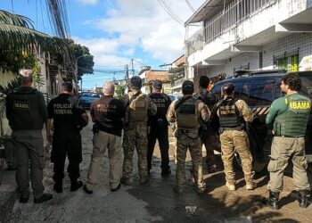 Mais de 20 agentes da PF e do IBAMA participaram da operação conjunta. Foto/Divulgação