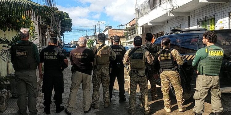 Mais de 20 agentes da PF e do IBAMA participaram da operação conjunta. Foto/Divulgação
