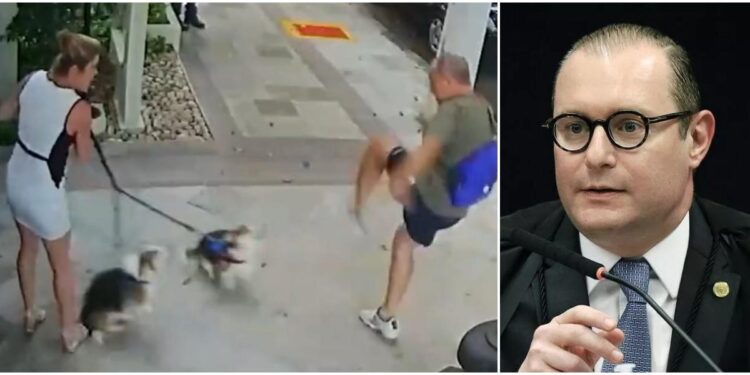 A advogada Carolina Zanin é irmã do Ministro do STF, Cristiano Zanin. Foto: Reprodução