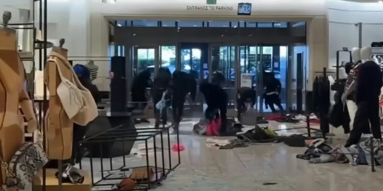 Grupo rouba loja em Los Angeles, uma das cinco cidades americanas mais atingidas pela onda de saques - Foto Reprodução