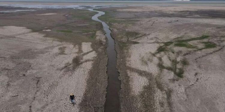 Rio Negro, em Manaus, atinge nível mais baixo da história.
