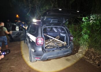 Nove armas furtadas do Exército são encontradas na Grande SP. Foto: Divulgação/Polícia Civil