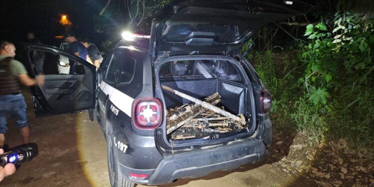 Nove armas furtadas do Exército são encontradas na Grande SP. Foto: Divulgação/Polícia Civil