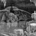 Lucífer no Nono Círculo do Inferno, por Gustave Doré