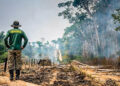 Estudo aponta presença de 22 facções criminosas na Amazônia Legal e aumento da violência e tráfico de drogas na região.