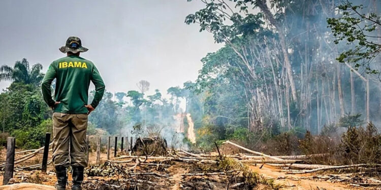Estudo aponta presença de 22 facções criminosas na Amazônia Legal e aumento da violência e tráfico de drogas na região.