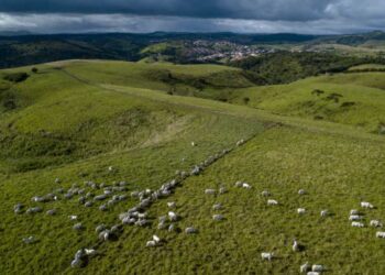 Presidente da Câmara, Arthur Lira, obtém ordem de reintegração de posse de área rural reivindicada por posseiros.