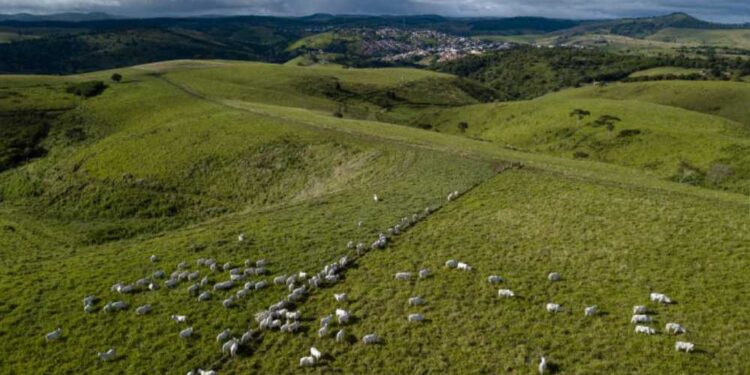 Presidente da Câmara, Arthur Lira, obtém ordem de reintegração de posse de área rural reivindicada por posseiros.