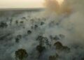 Brasil tem registrado alta na emissão de gases de efeito estufa