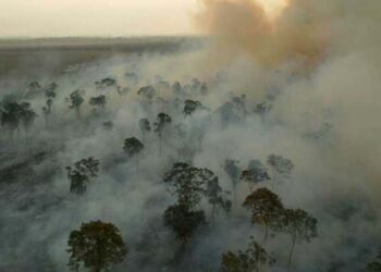 Brasil tem registrado alta na emissão de gases de efeito estufa