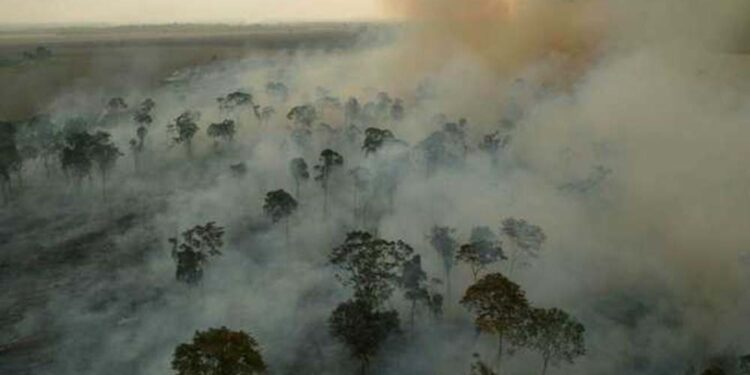 Brasil tem registrado alta na emissão de gases de efeito estufa